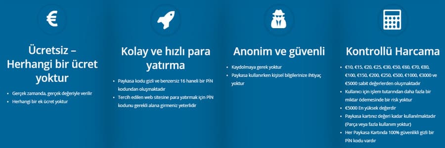 paykasa nedir